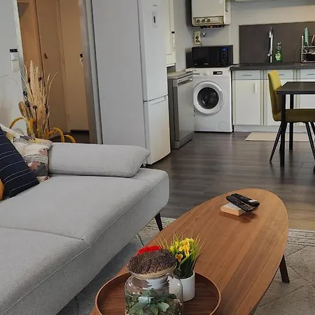 Apartment A Cozy Bedroom In An Villeurbanne